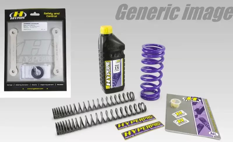-30 mm Lowering Fork Spring & Rear Link Kit