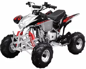 ATV 110CC MID SIZE ATV REMOTE KILL AND START & MORE
