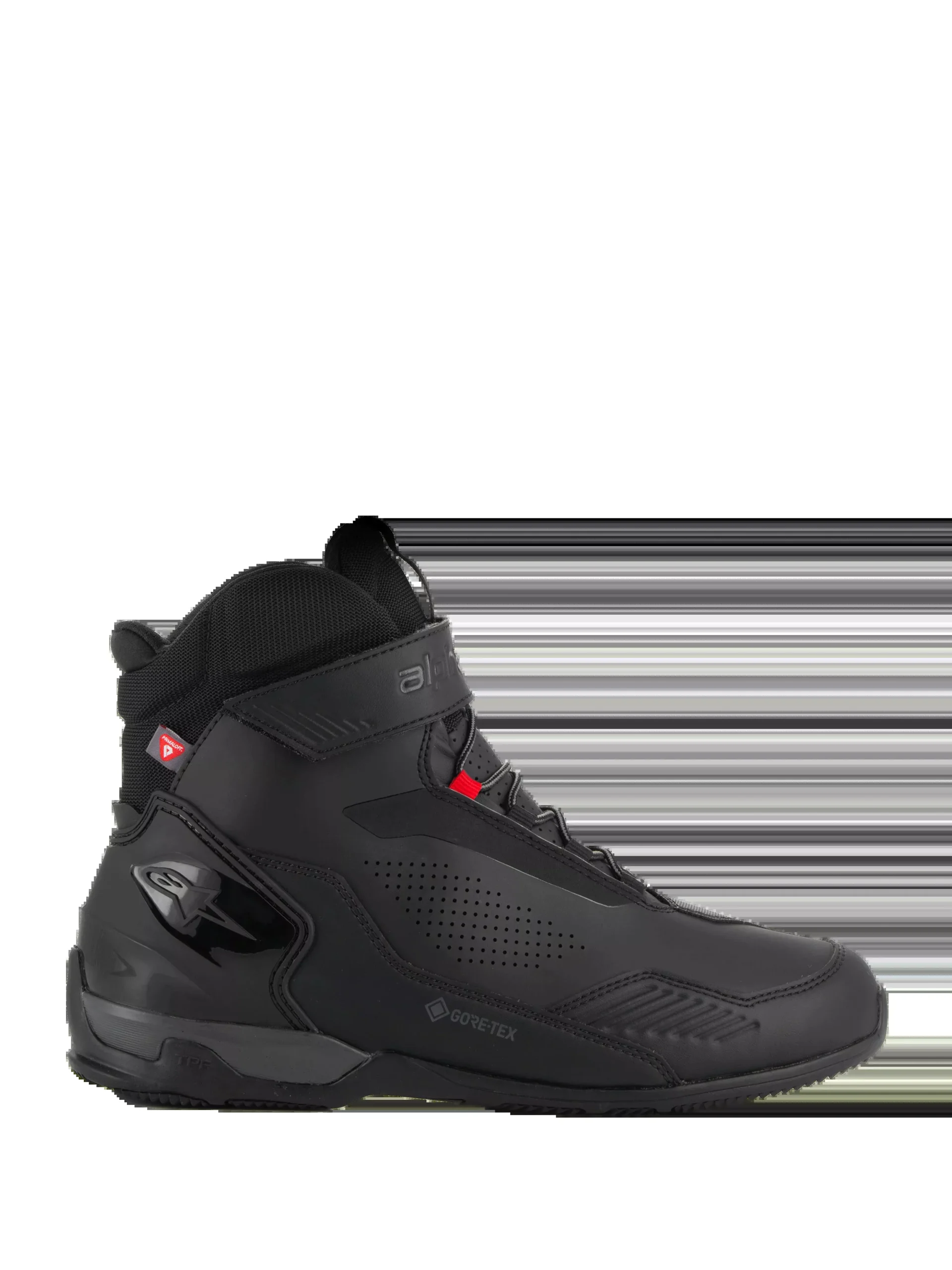 Austral GTX Shoes