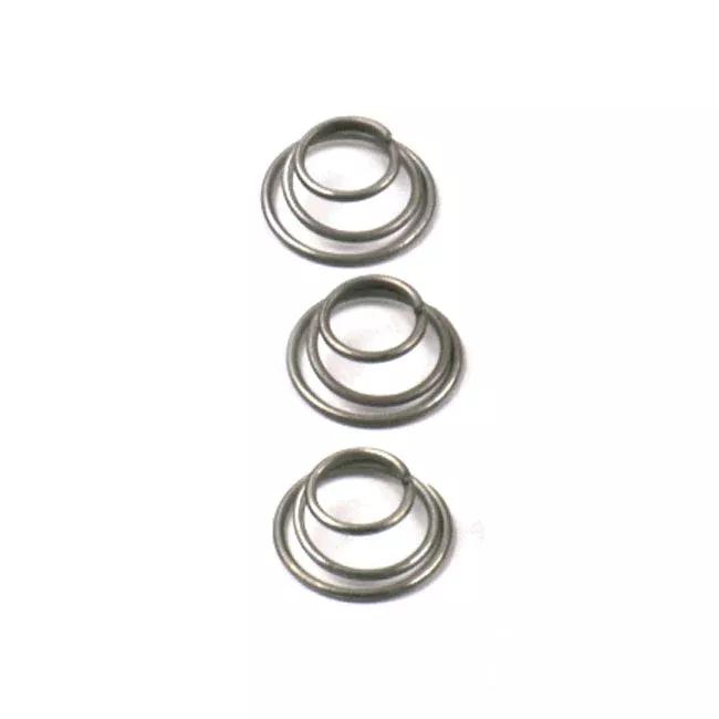 Bearing Retainer Springs for Harley-Davidson