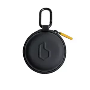 BeelineGPS case 2