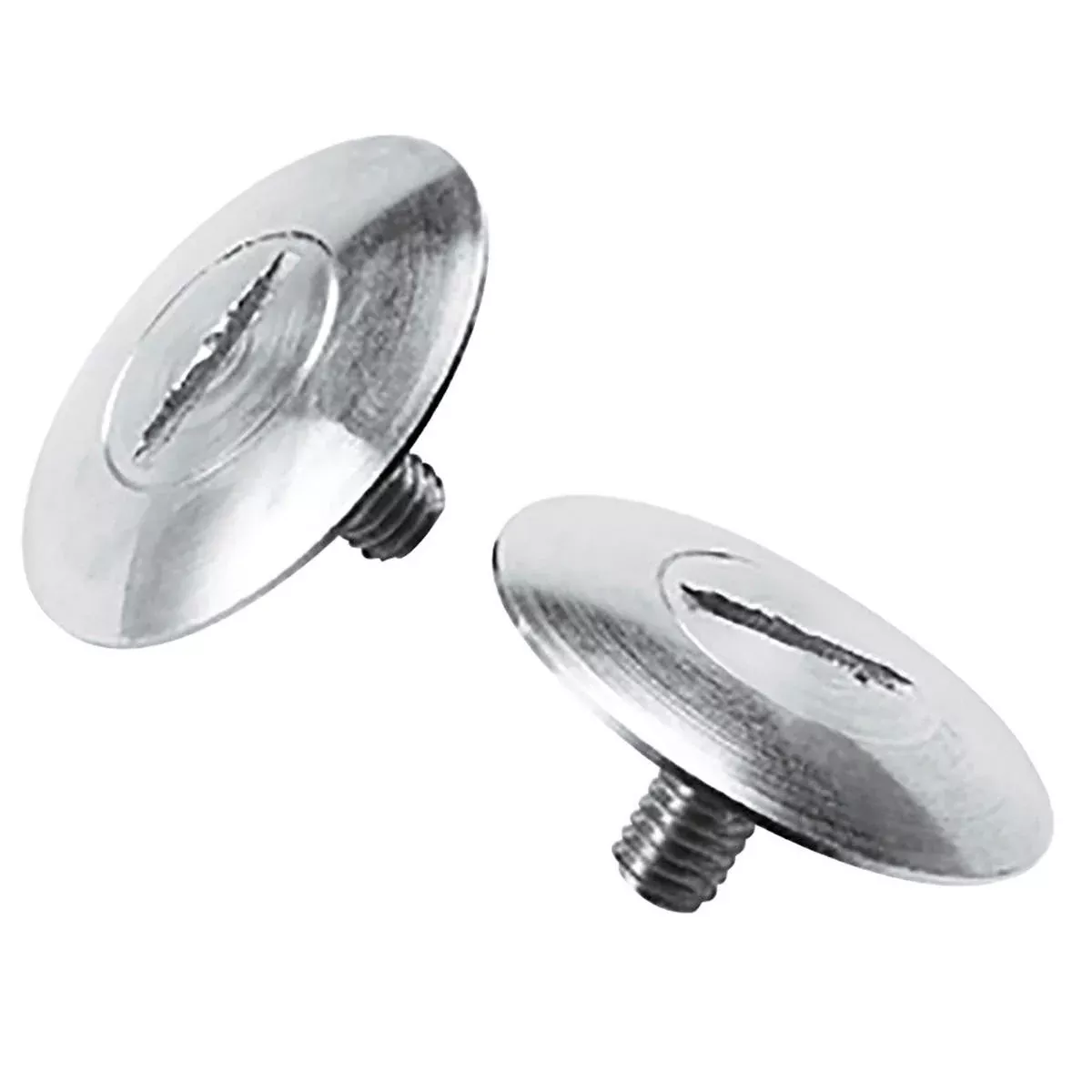 BV2S VISOR SCREW KIT