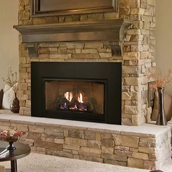 Empire Innsbrook DVC20IN SMALL Clean Face Direct Vent Fireplace Insert