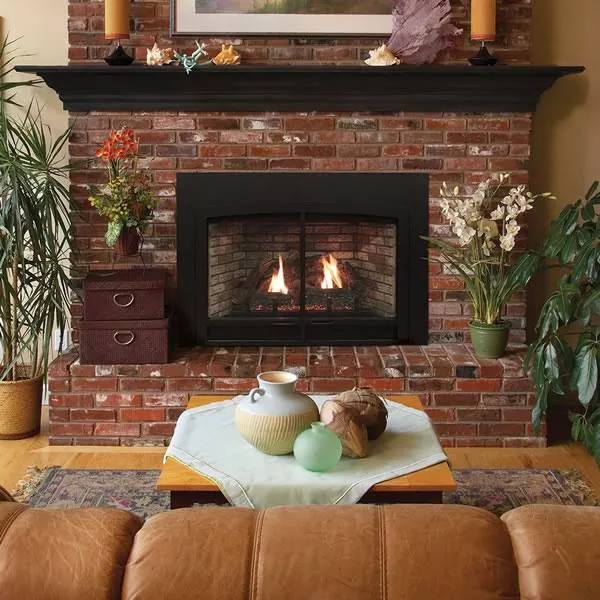 Empire Innsbrook DVC28IN LARGE Clean Face Direct Vent Fireplace Insert