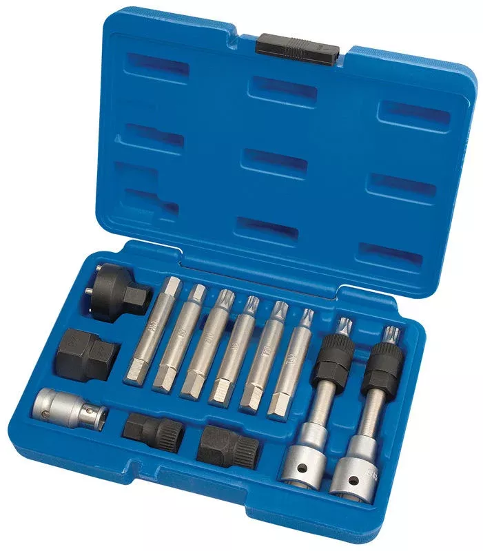 Expert Professional Alternator Extractor 13 Pieces
