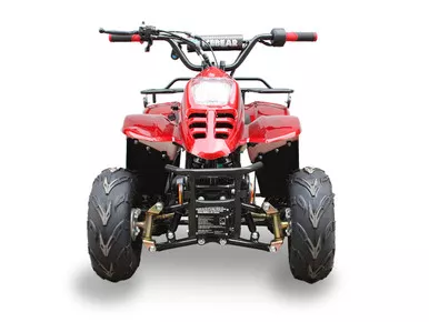 Icebear Dyno-R(PAH110-2R) 110Cc Atv, Fully Automatic With Reverse, Remote Control Kill Switch