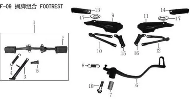 Lifan Kp Mini Rear right footrest combination