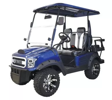 MASSIMO ELECTRIC GOLF CART GMF2X