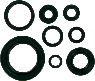 MOOSE RACING Motor Seals - CR250 822111
