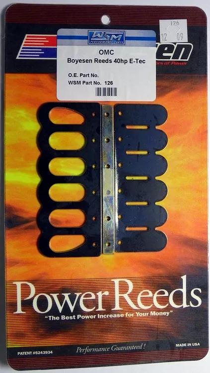OMC 60 hp E-Tec Boysen Reeds 2005-11