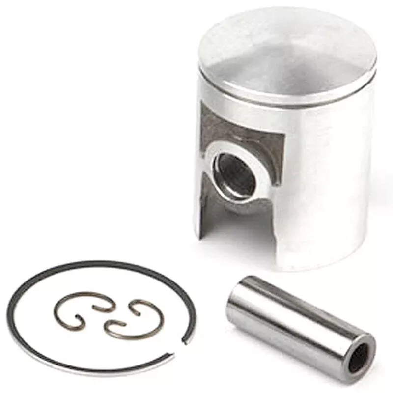 Piston for AIRSAL cylinder (06080244)