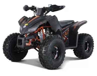 Rival Motor TRAILHAWK 10, ATV, 154FMI Automatic, Electric start