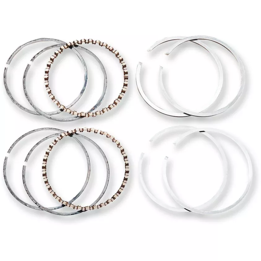 Segments For Harley-Davidson Evolution 1340 & XL 1200 80"