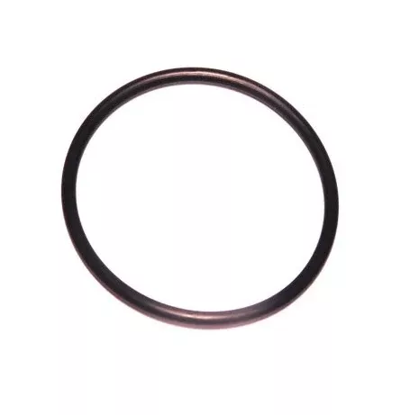 Starter Motor O-Ring for Harley-Davidson