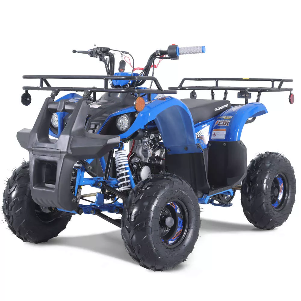 Tao D125 Youth Utility ATV