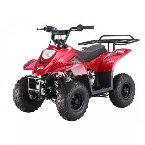 Taotao Boulder B1 ATV, 110CC Air cooled, 4-Stroke