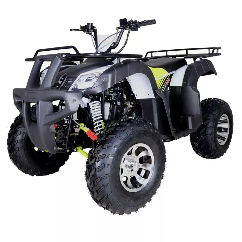 TaoTao Bull 200 Utility ATV
