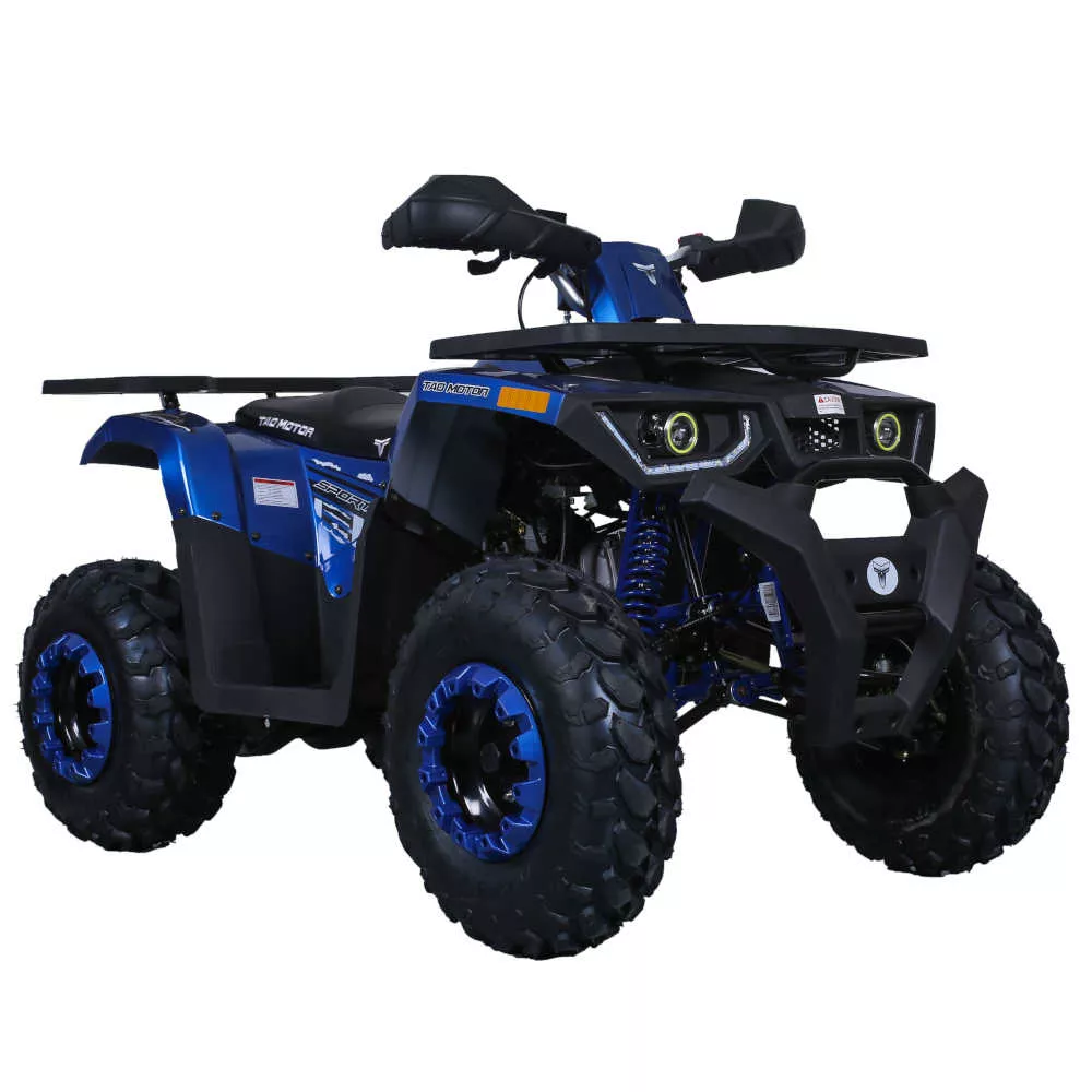 TaoTao G200 Utility ATV