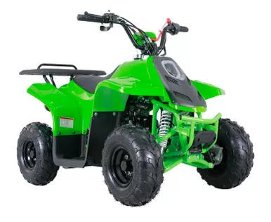Taotao Rock 110 ATV With Reverse