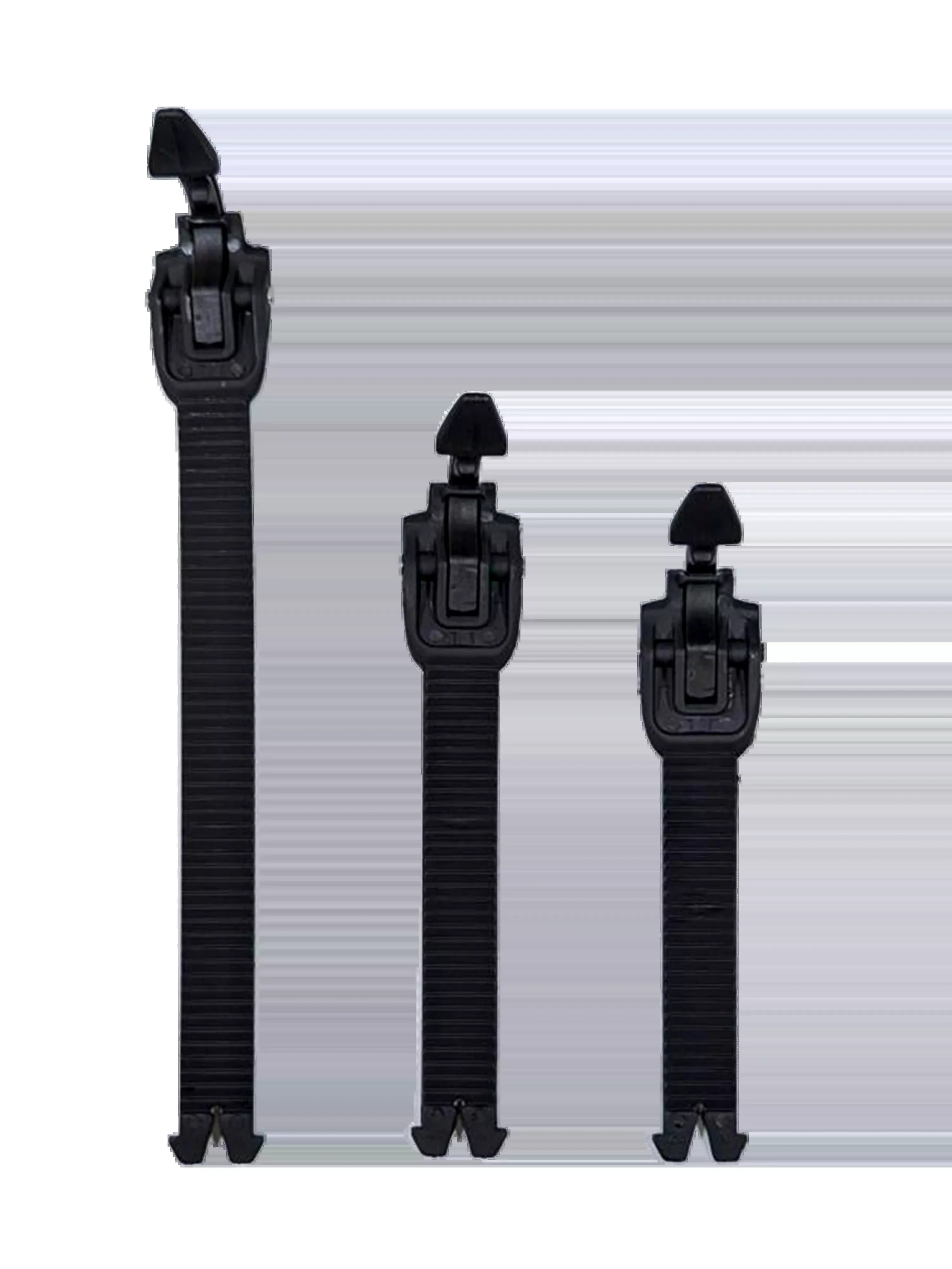 Tech 1/3 Buckle Straps