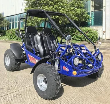 TrailMaster 200E XRS EFI Go Kart, 168.9cc Fully Automatic, Electric Start, Kill Switch