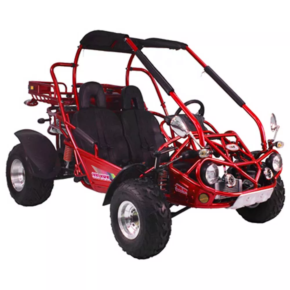 TrailMaster 300 XRX-E GoKart