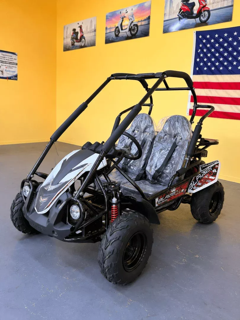 Trailmaster Blazer 200R (In Store)