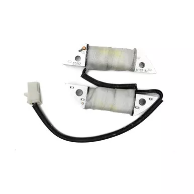 TrailMaster Charging Coil Assembly, Mini/ Mid For Gokarts