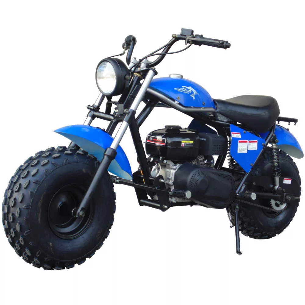 TrailMaster MB200-2 Mini Dirt Bike