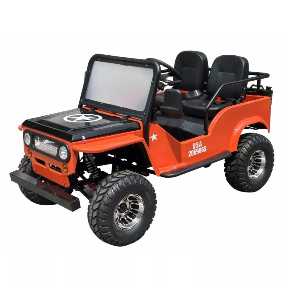VItacci GR2 150cc GoKart