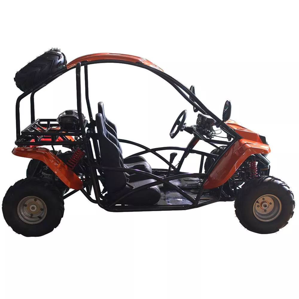 Vitacci T-Rex 125cc 4 Stroke Air Cooled Automatic with Reverse | Youth Go-kart