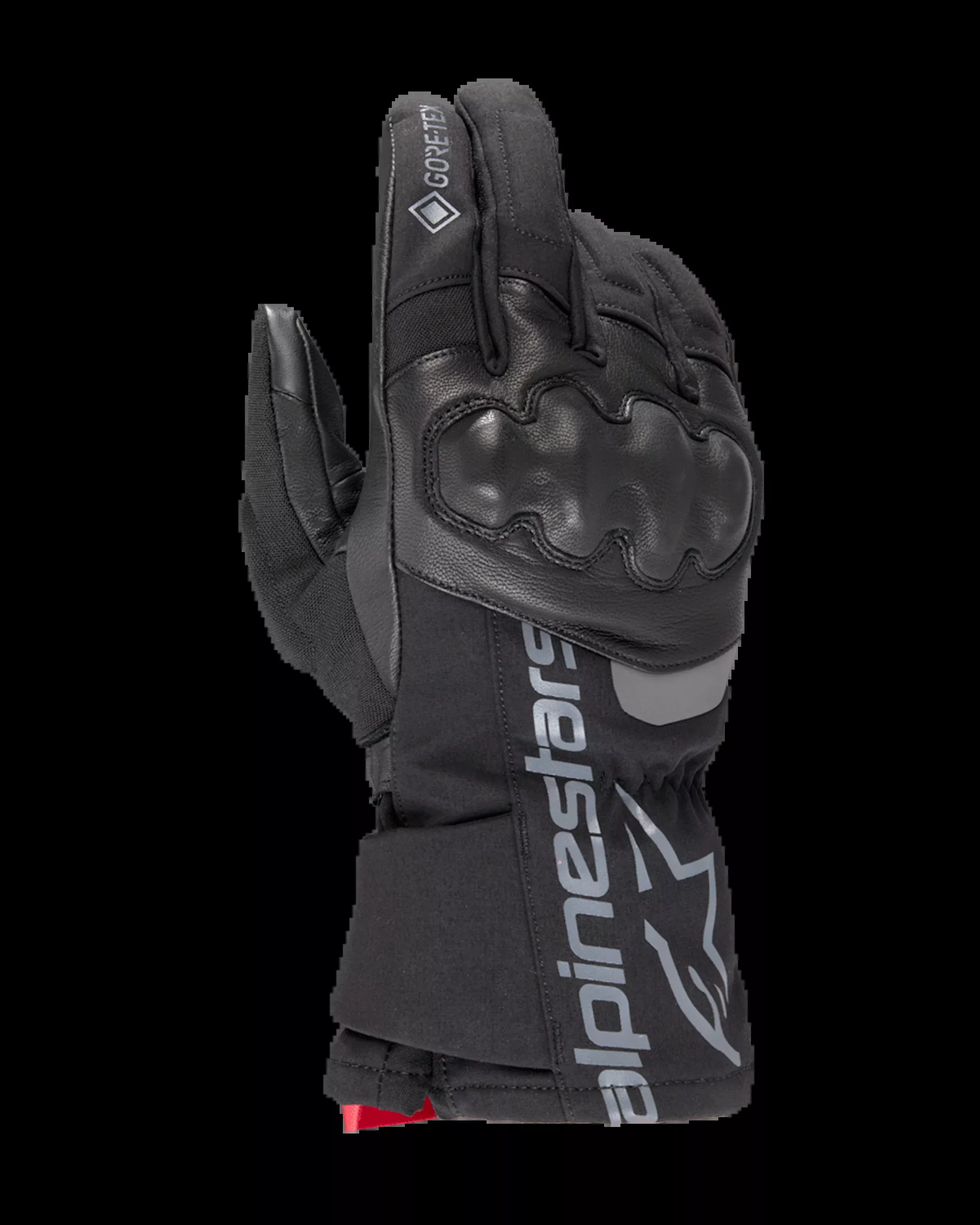 WT-4 GORE-TEX Insulated Glove